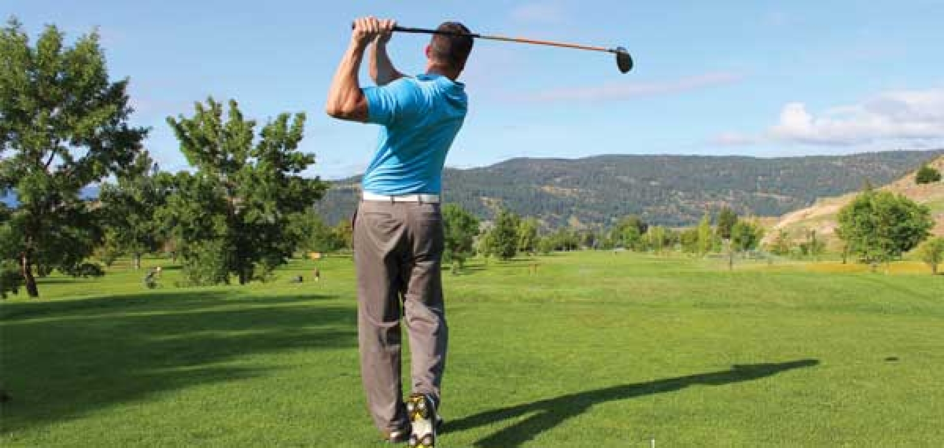 Rotator Cuff injury and shoulder pain image