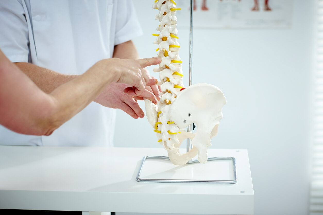 Common types of chiropractic care image