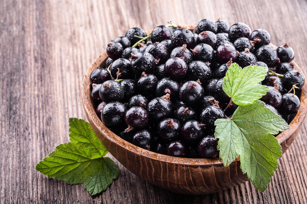 Blackcurrants – a Smart Little Berry! image
